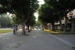 DSC 0507
